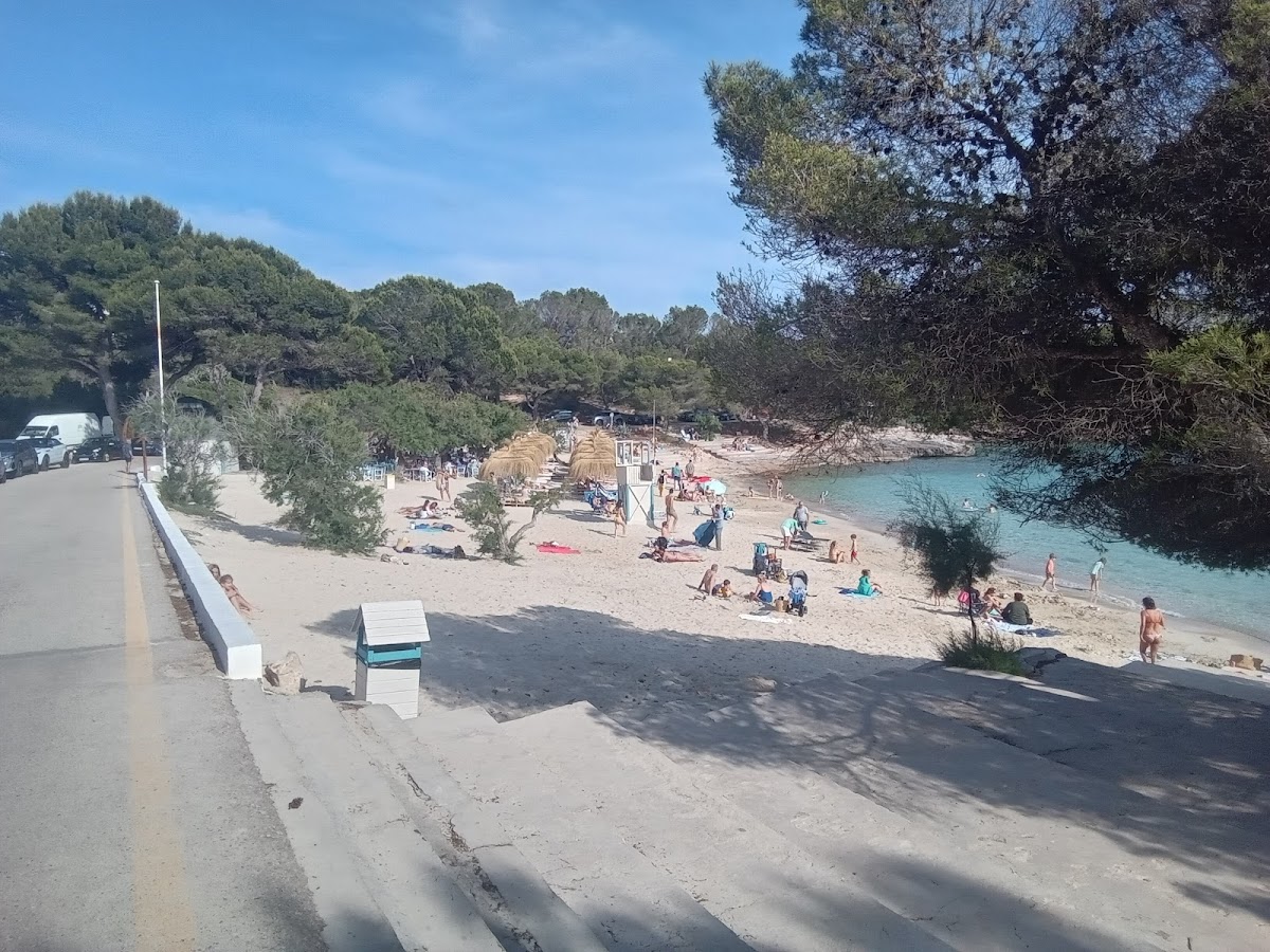 Arenal dets Ases
