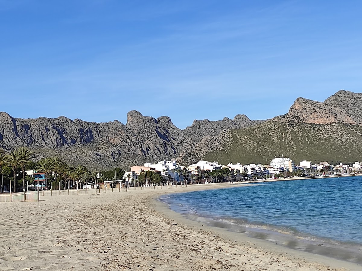 Platja del Port de Pollença