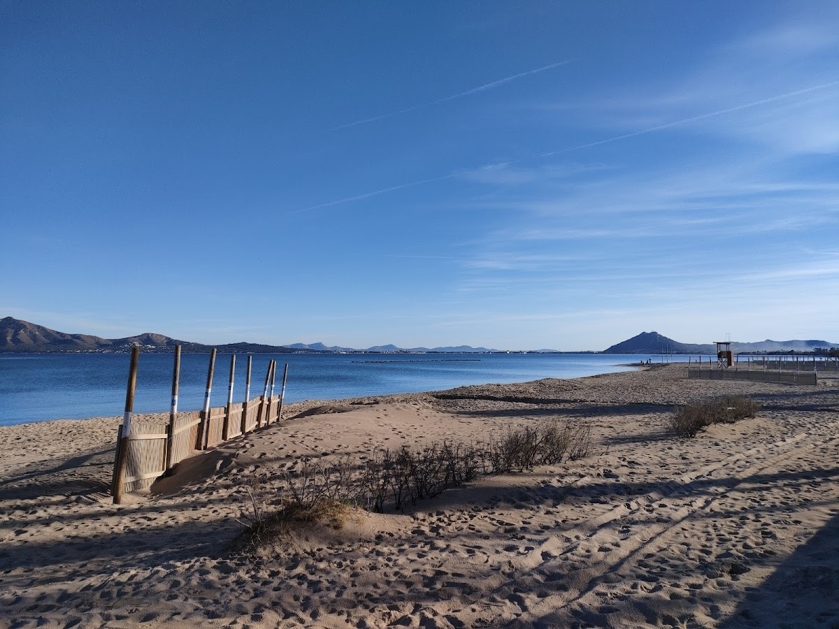 Platja del Port de Pollença