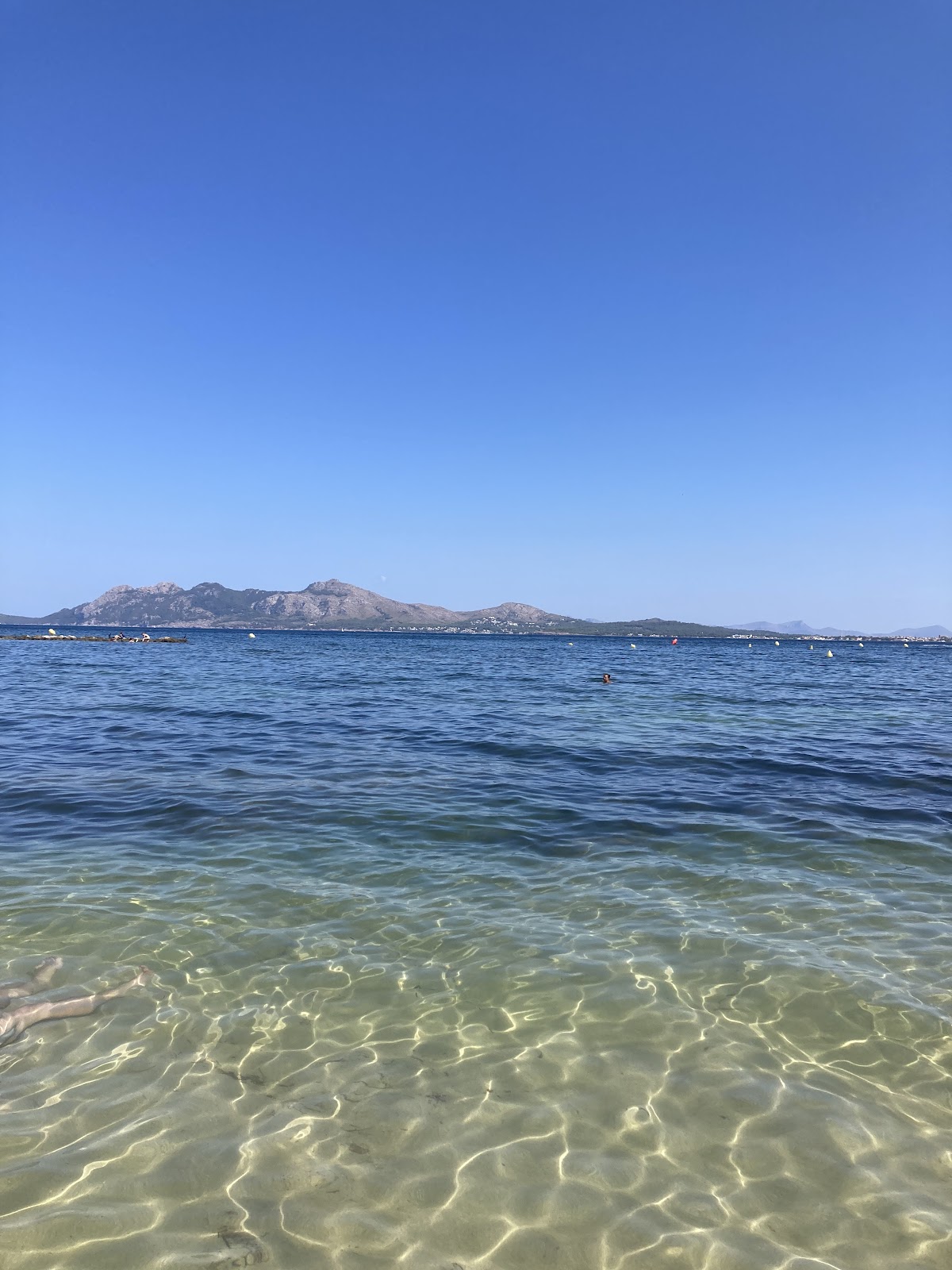 Platja del Port de Pollença