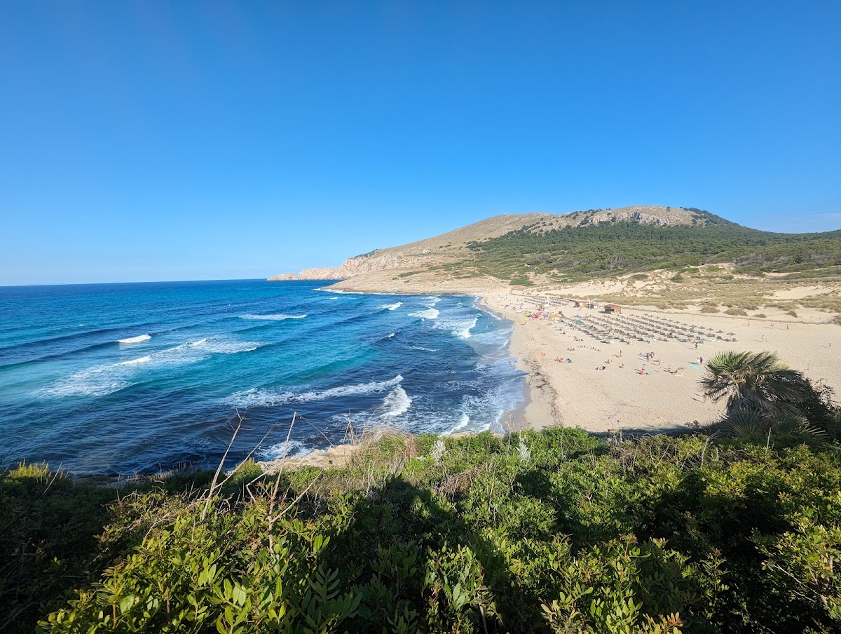 Platja de Sa Mesquida