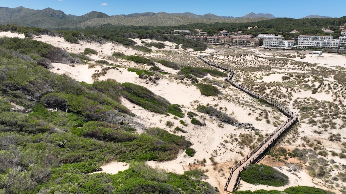 Platja de Sa Mesquida