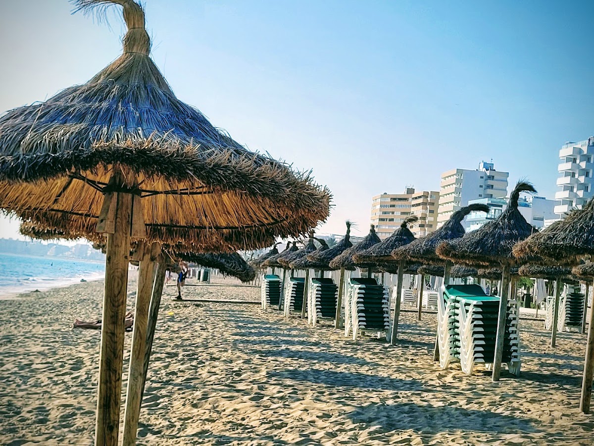 Palma Beach
