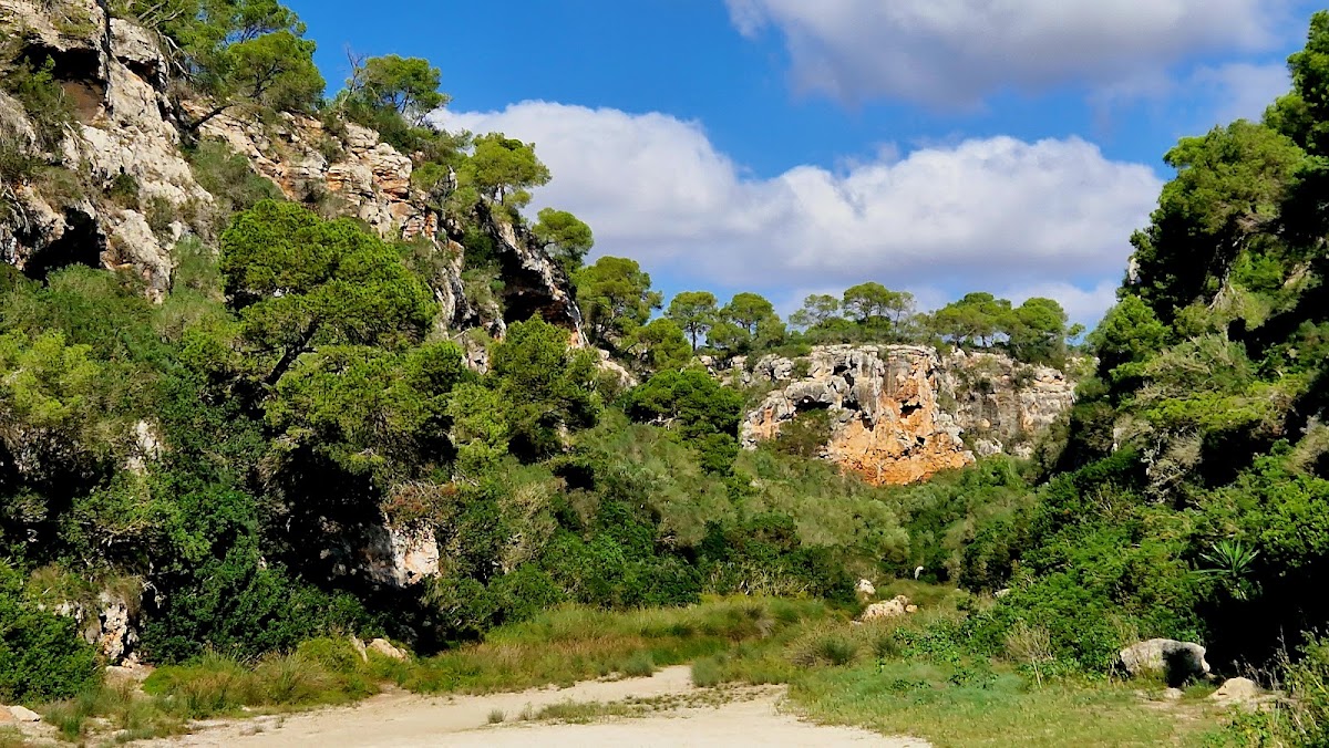 Platja de Cala Pi