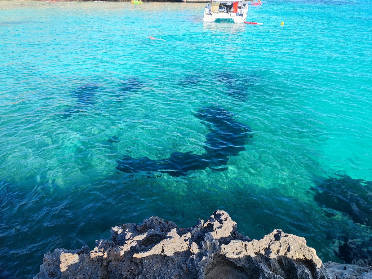 Cala Mondragó