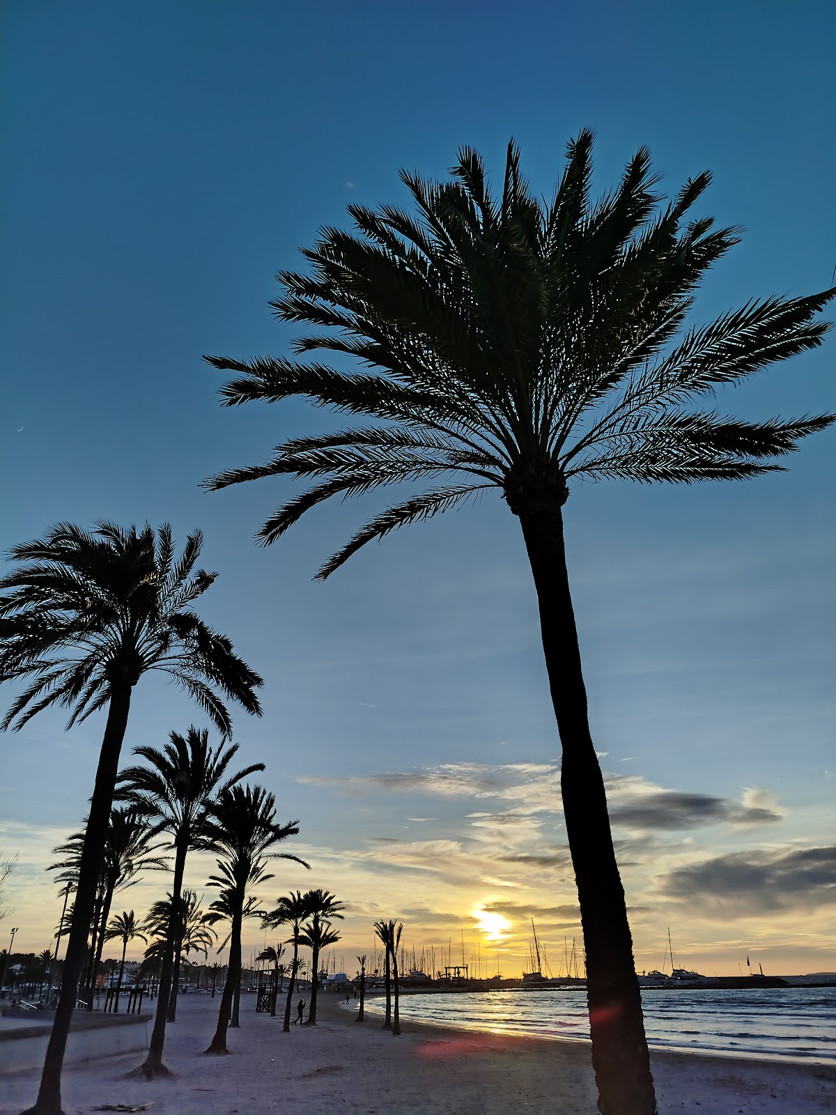 Playa de Palma