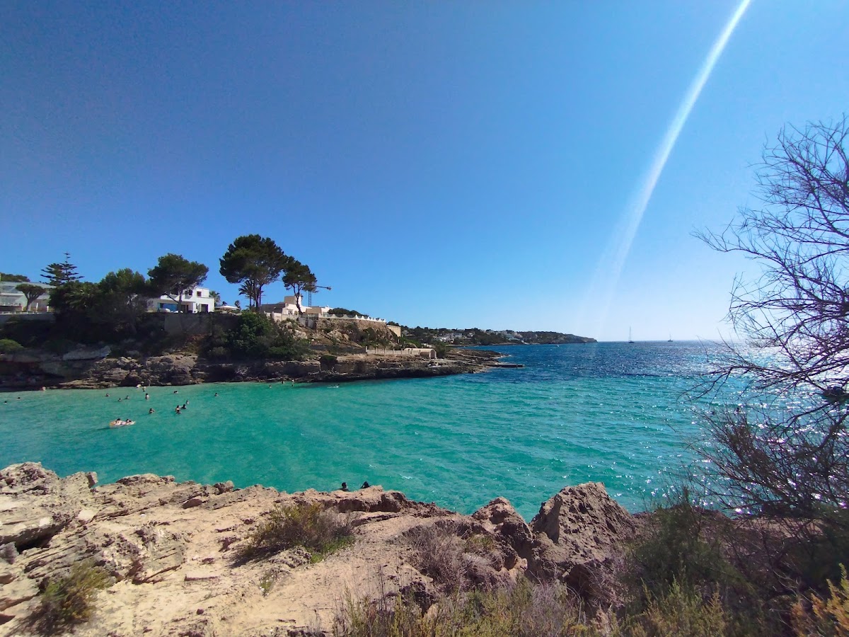 Cala Mosques