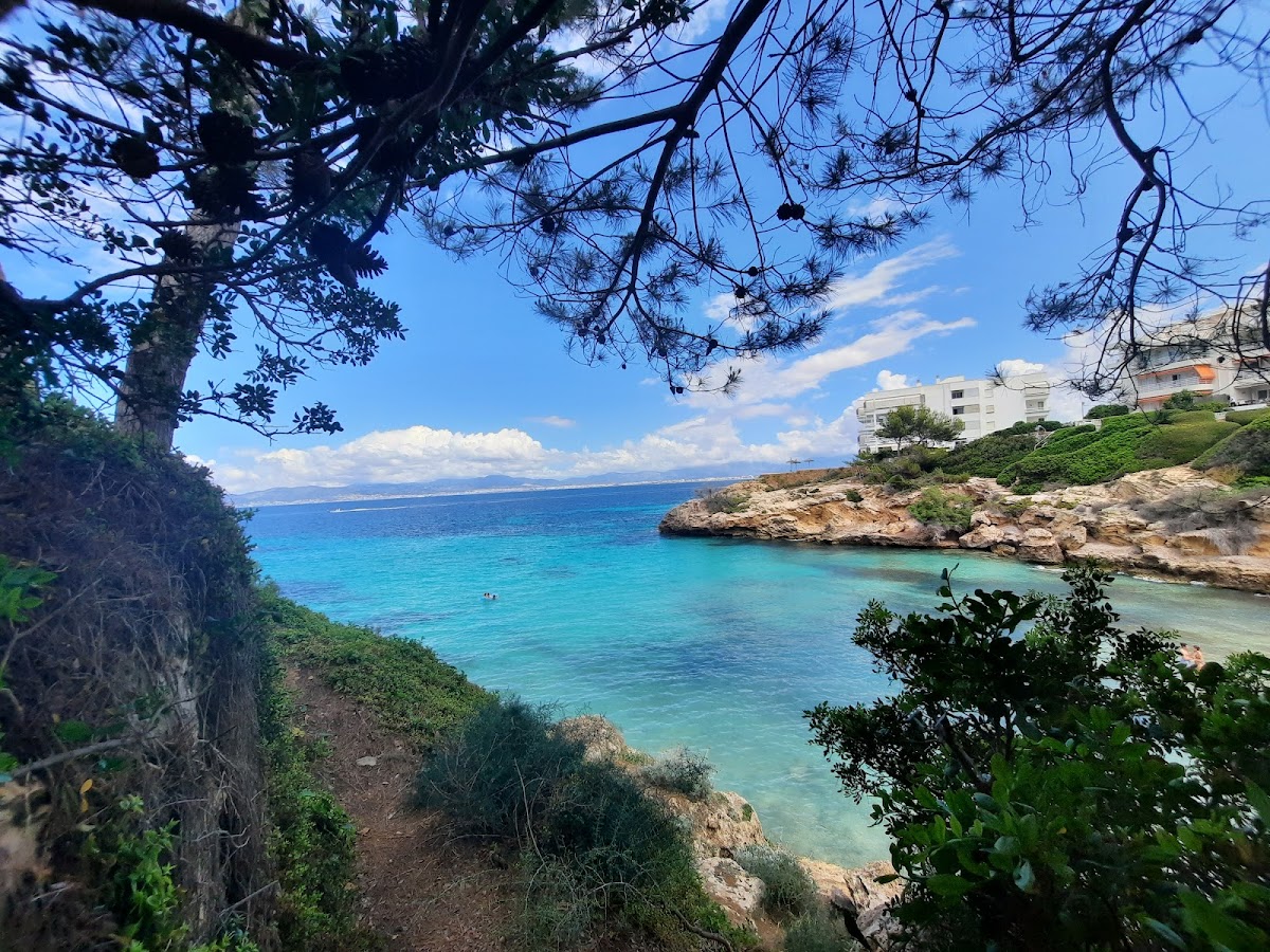 Cala Mosques