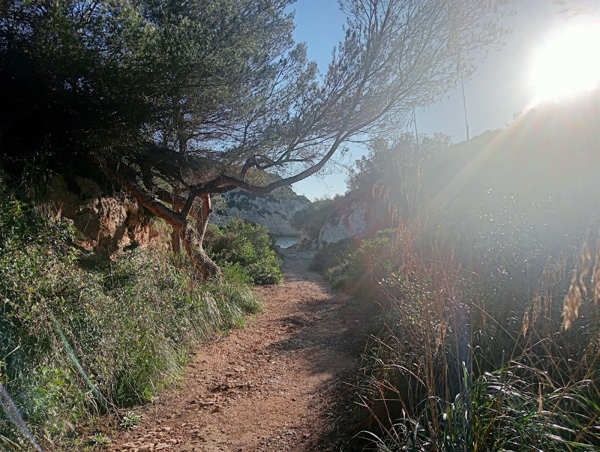 Cala Bota