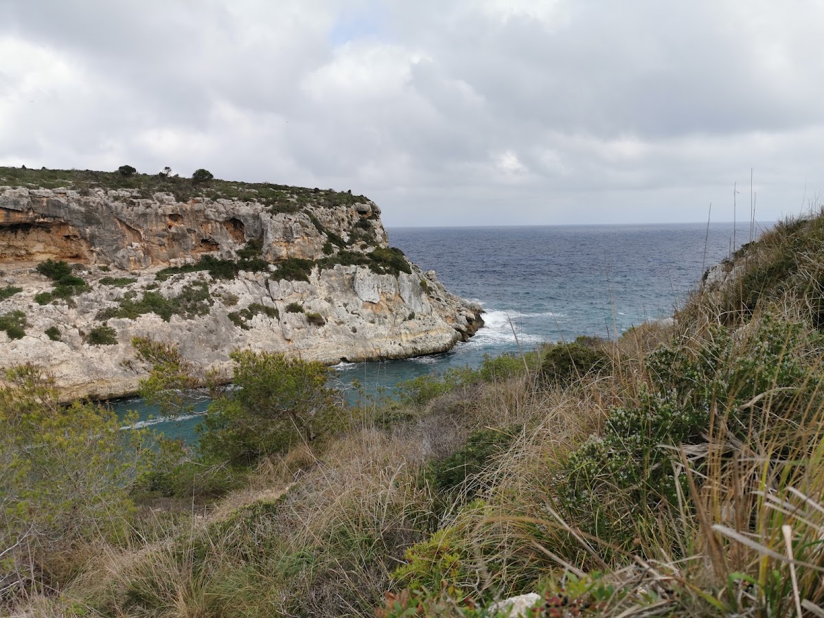Cala Bota