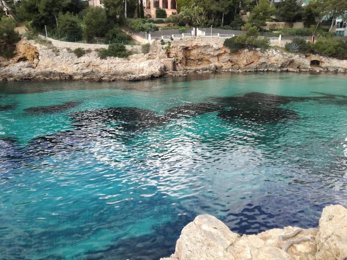 LA CALITA, PORTALS NOUS.