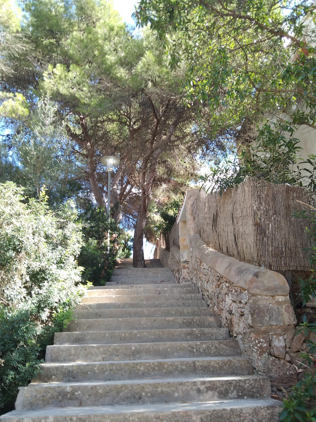 Playa de Cala Serena