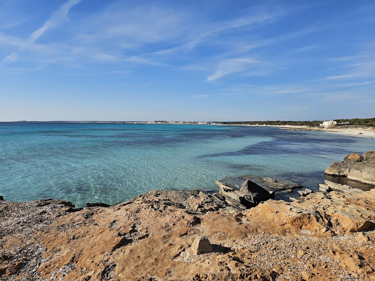 Ses Covetes