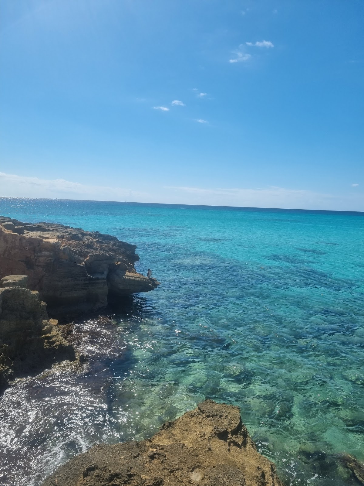 Ses Covetes