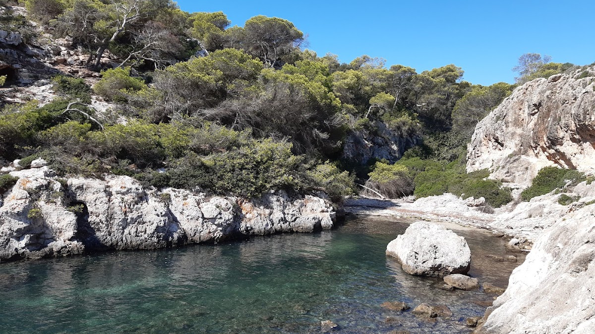 Platja de Cala Figuera