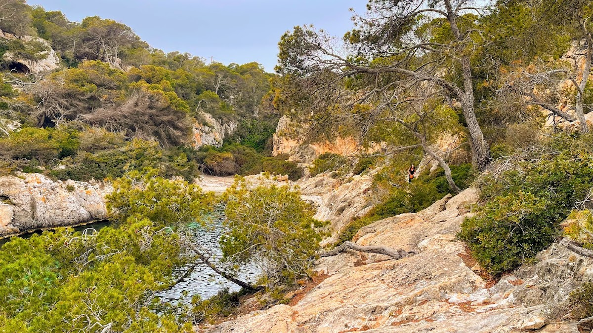 Platja de Cala Figuera