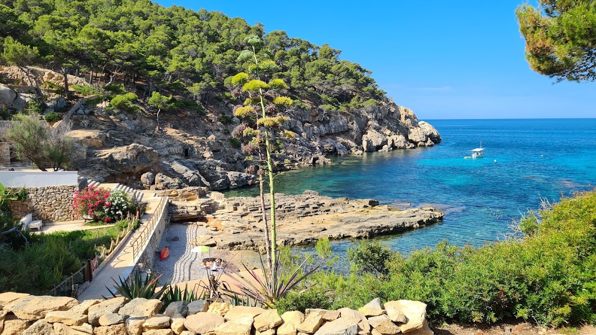 Platja de Cala Conills