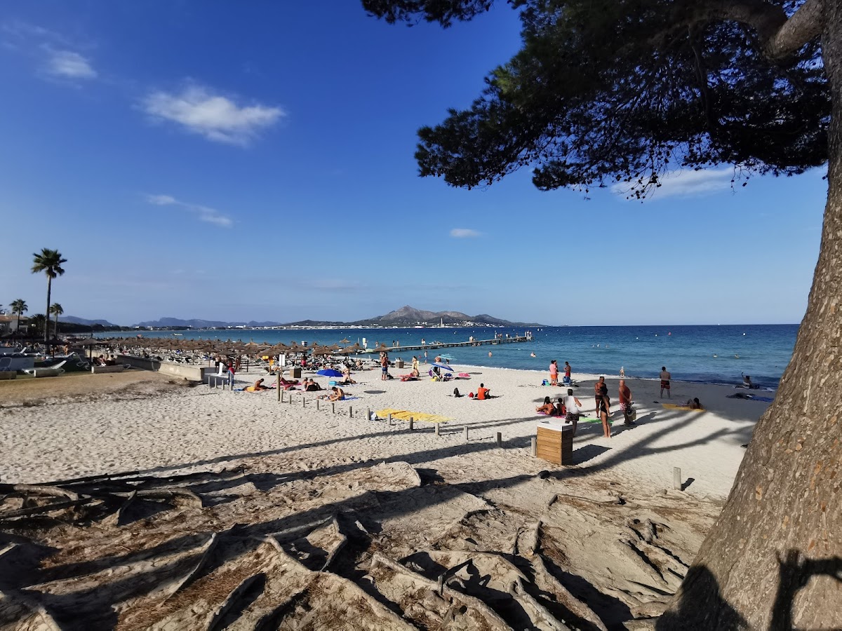 Alcudia Beach