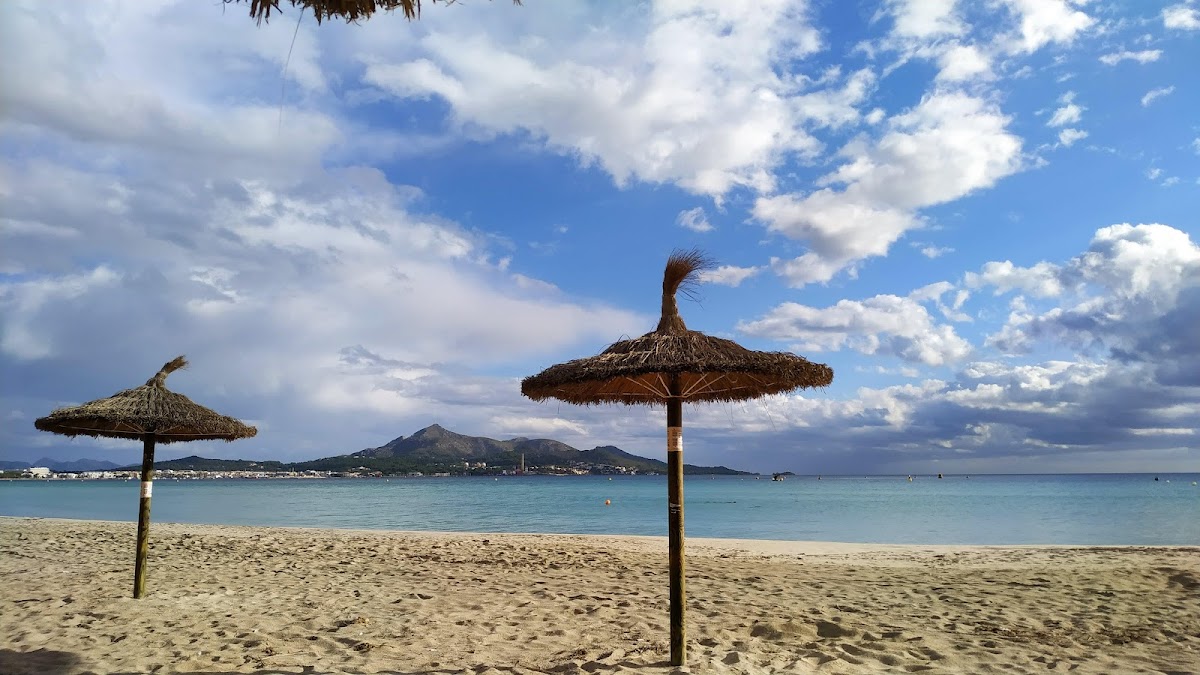 Alcudia Beach