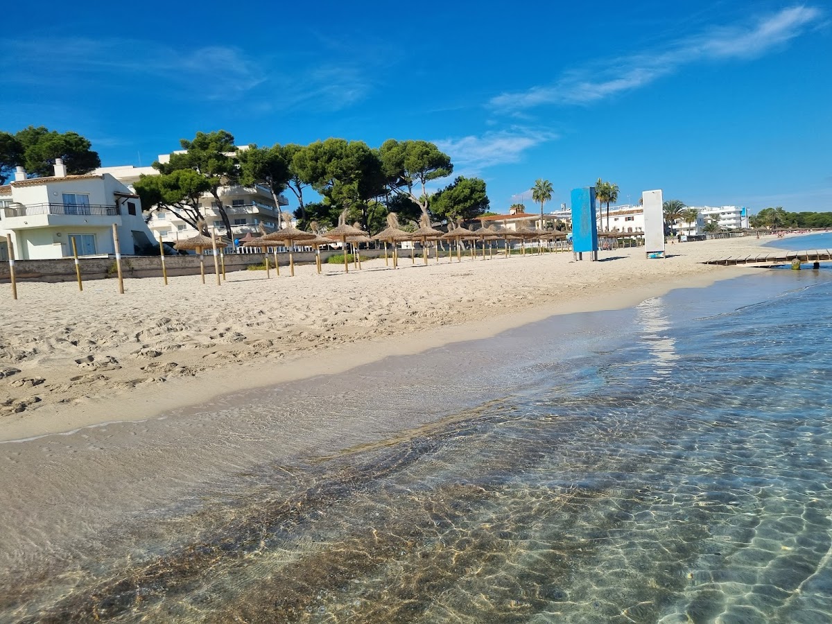 Alcudia Beach