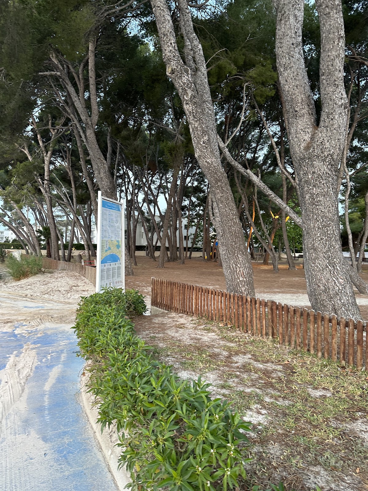 Playa De Muro Pili De Jordi