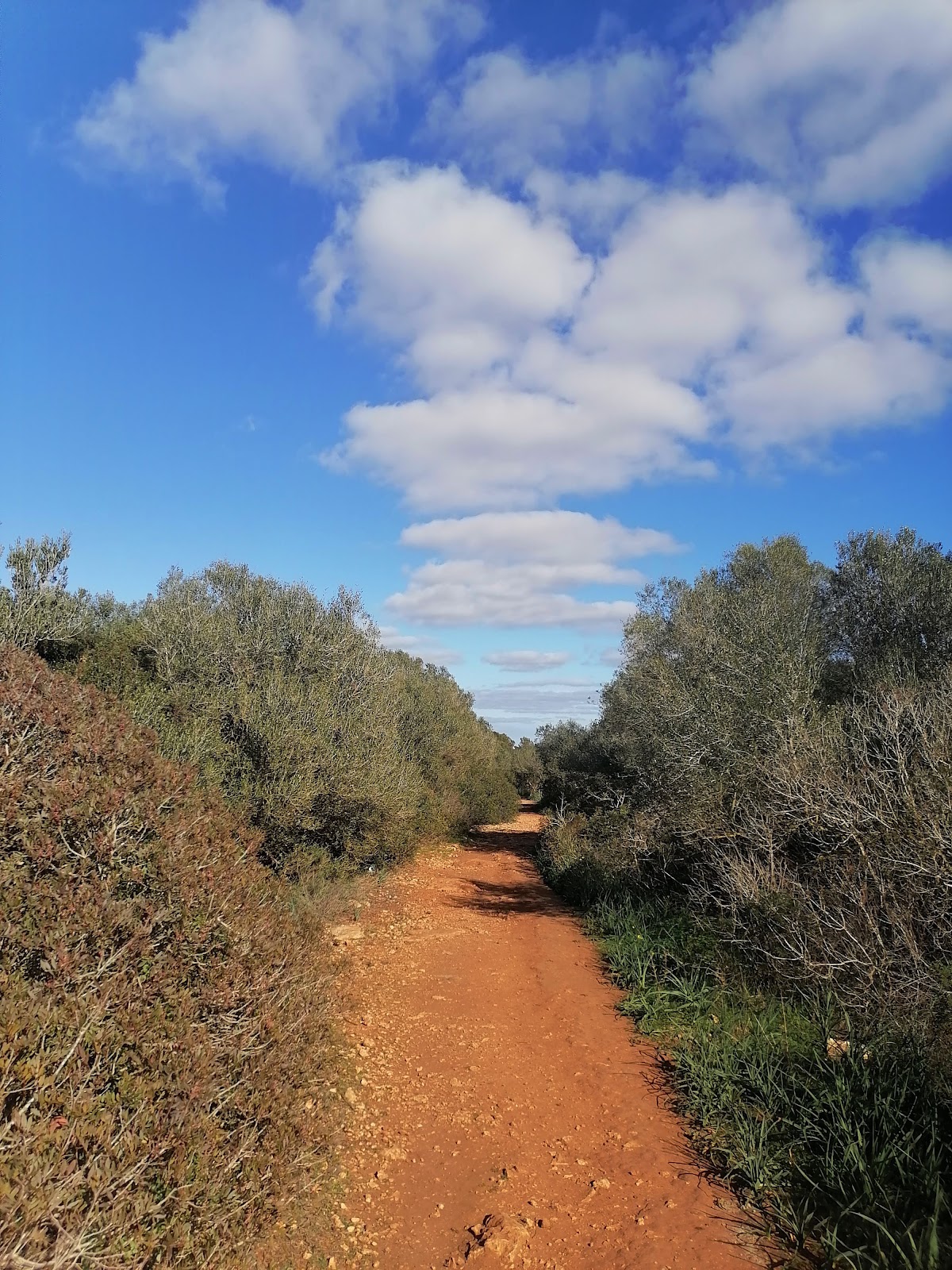 Cala Petita