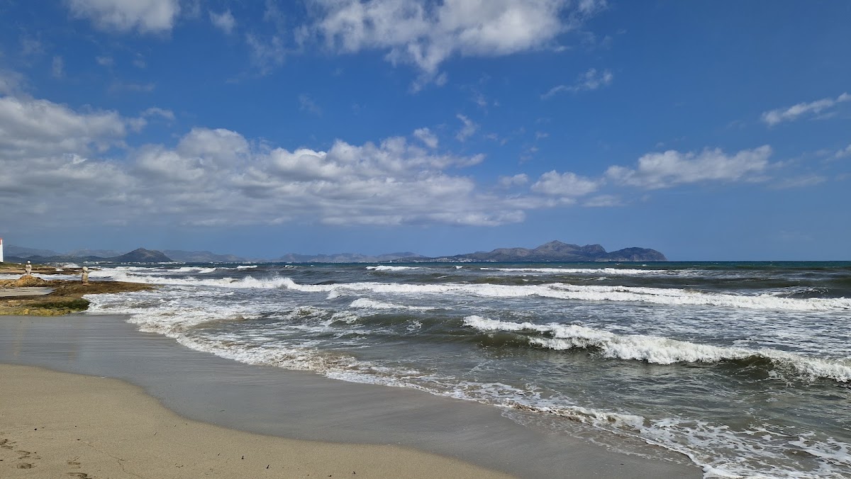 Platja de Ca'n Picafort