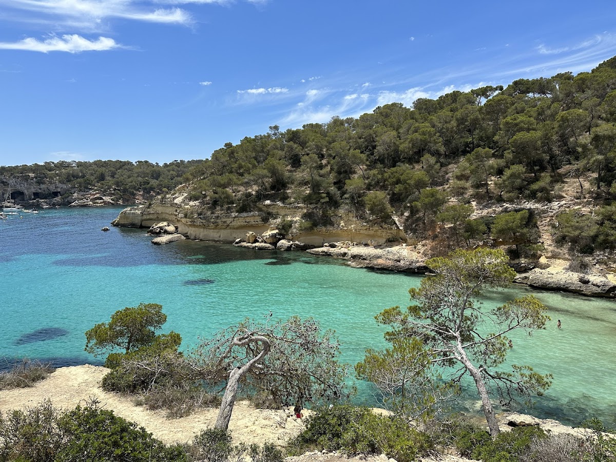 Playa del mago