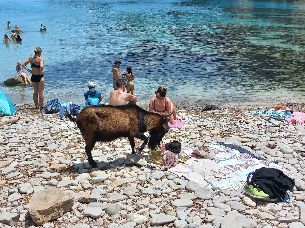 Cala Figuera