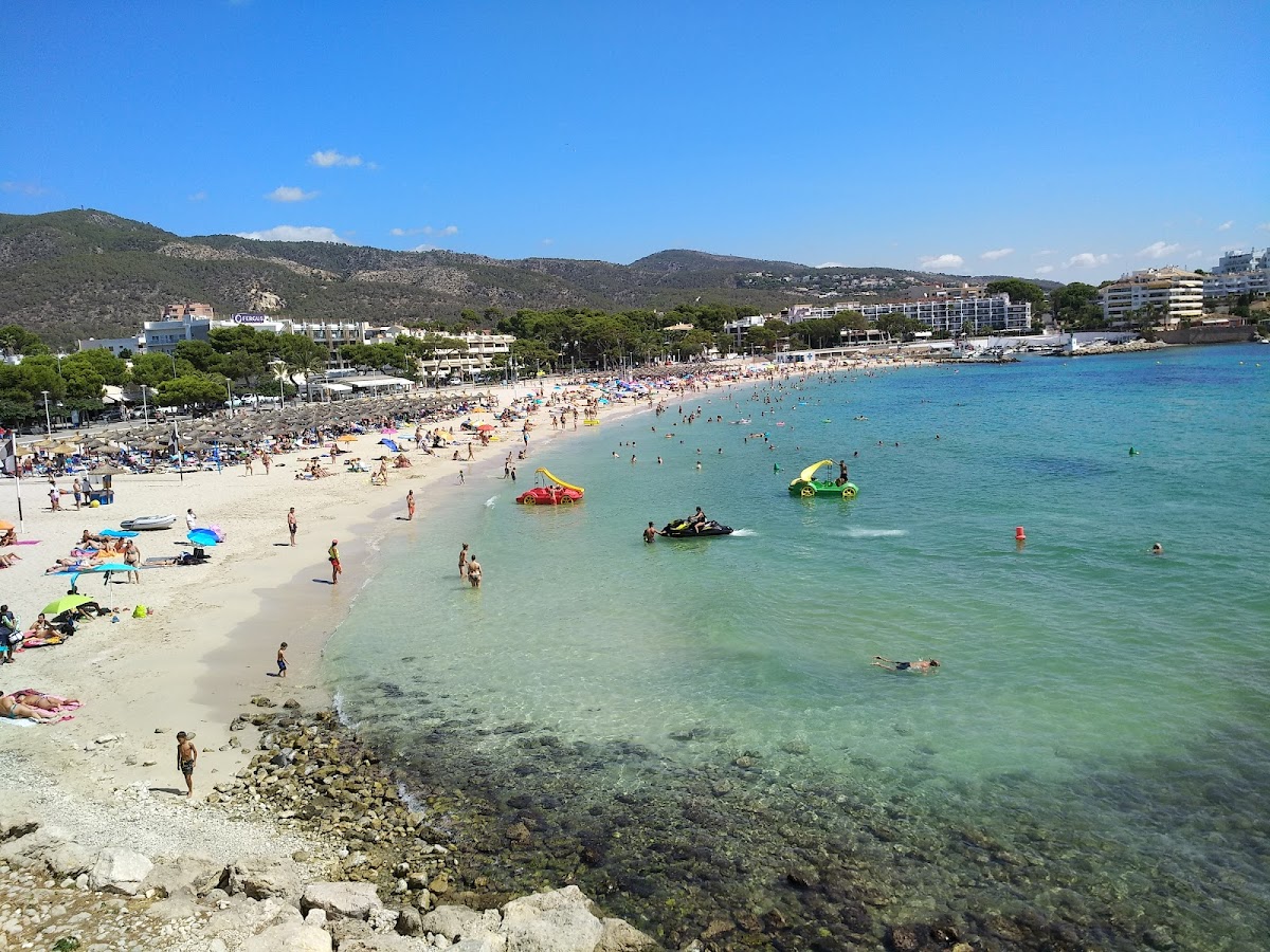 Palmanova Beach