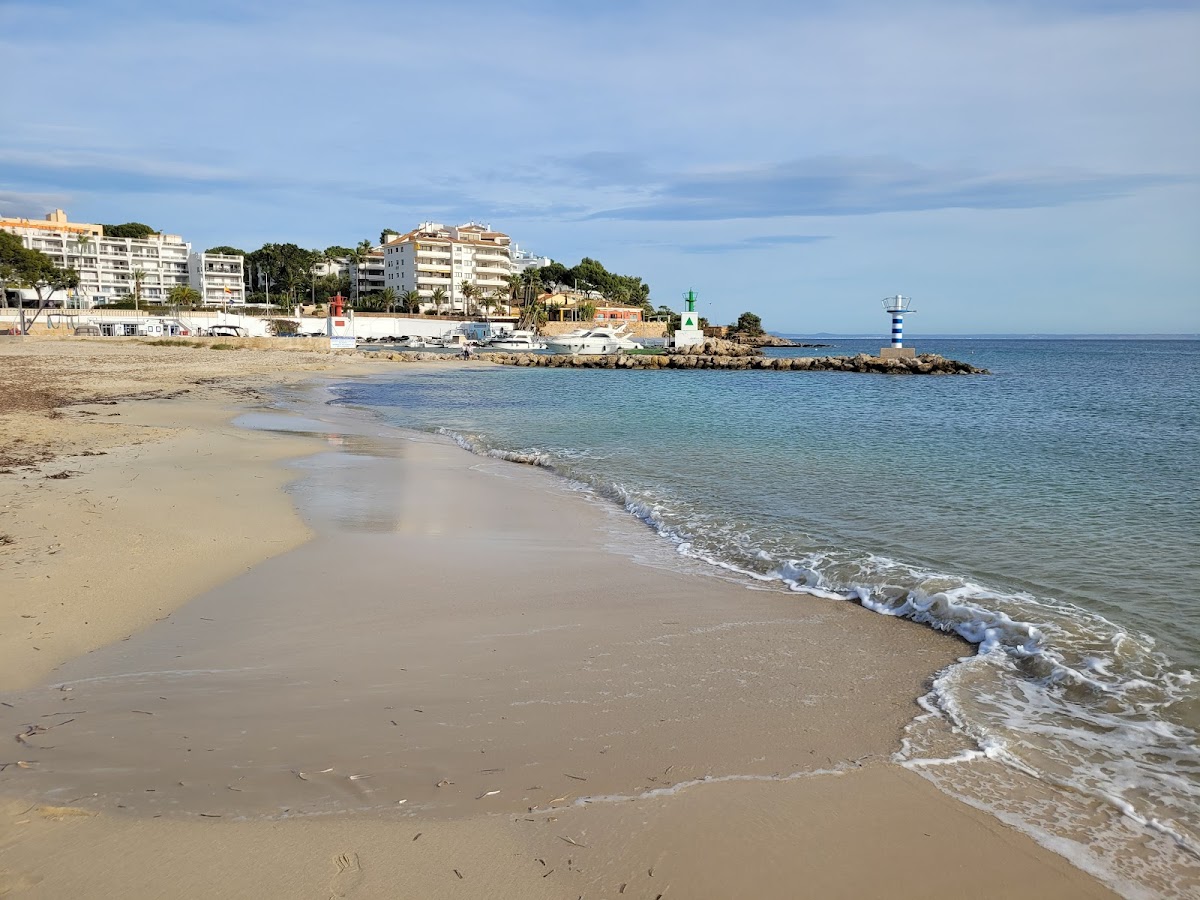 Palmanova Beach