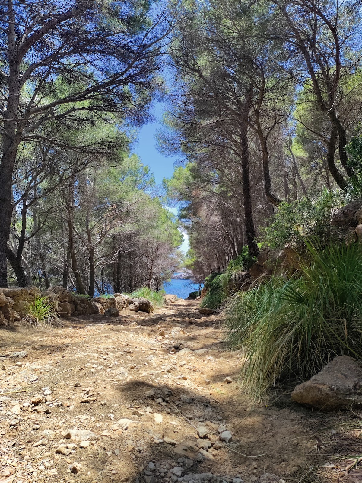 Cala de na Llòbriga