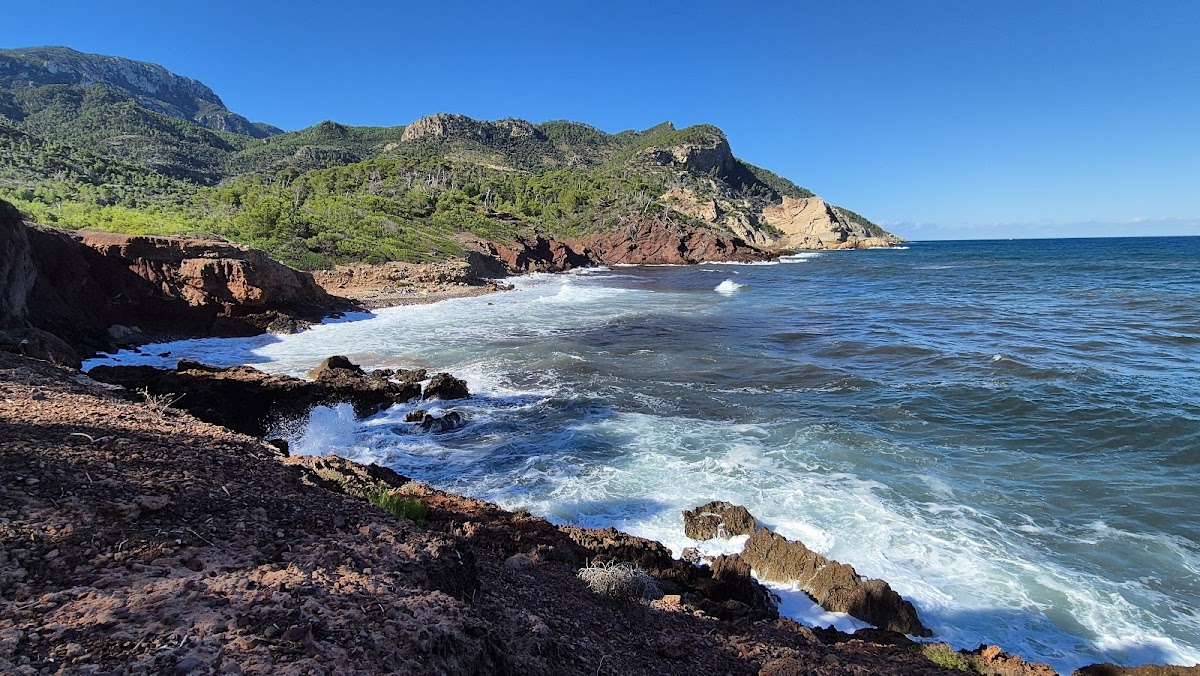 Canonge Beach Port