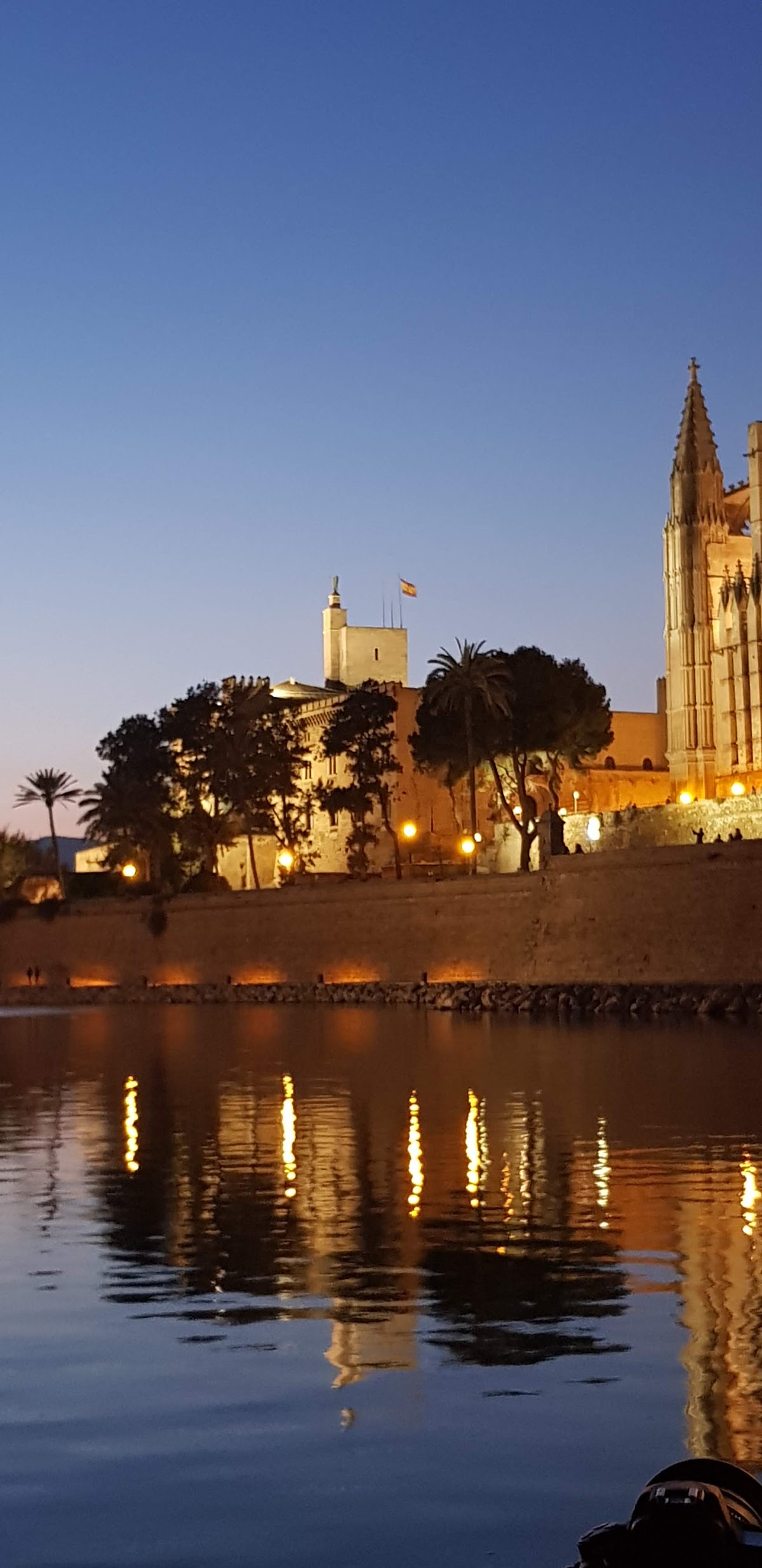 Palma
