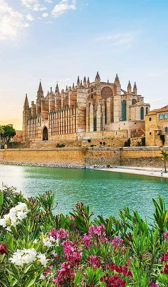 Palma