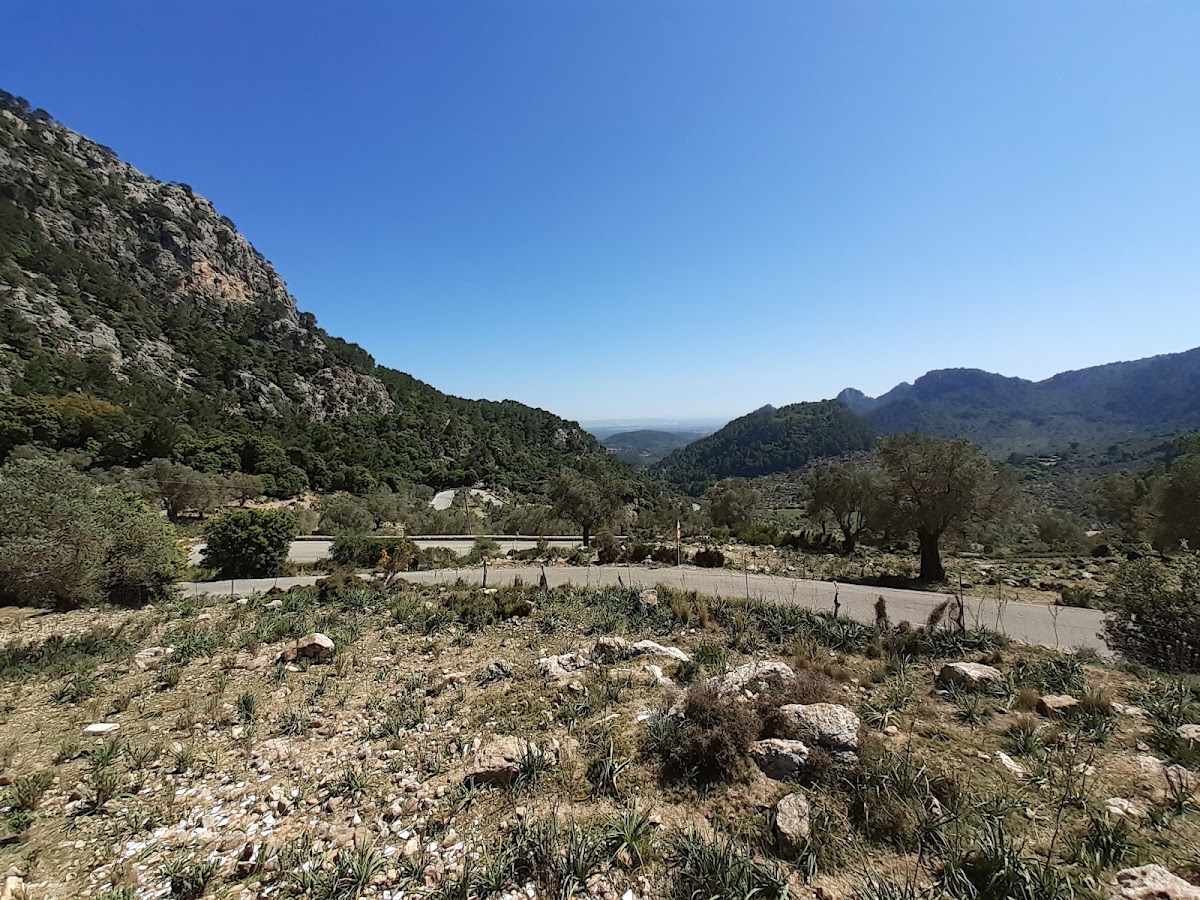 Coll de Sóller