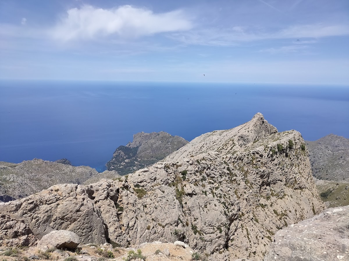 Puig Major