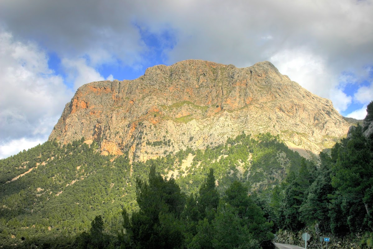 Puig Major