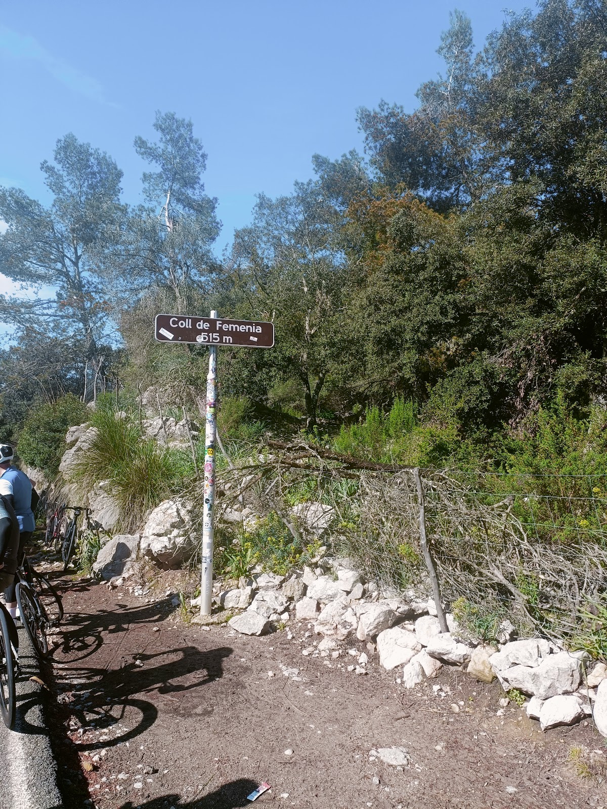 Coll de Femenia