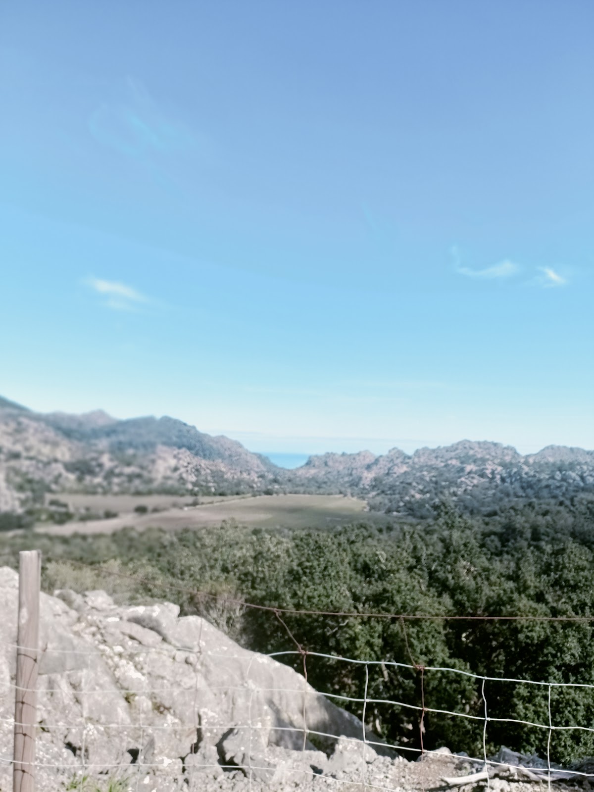 Coll de Femenia