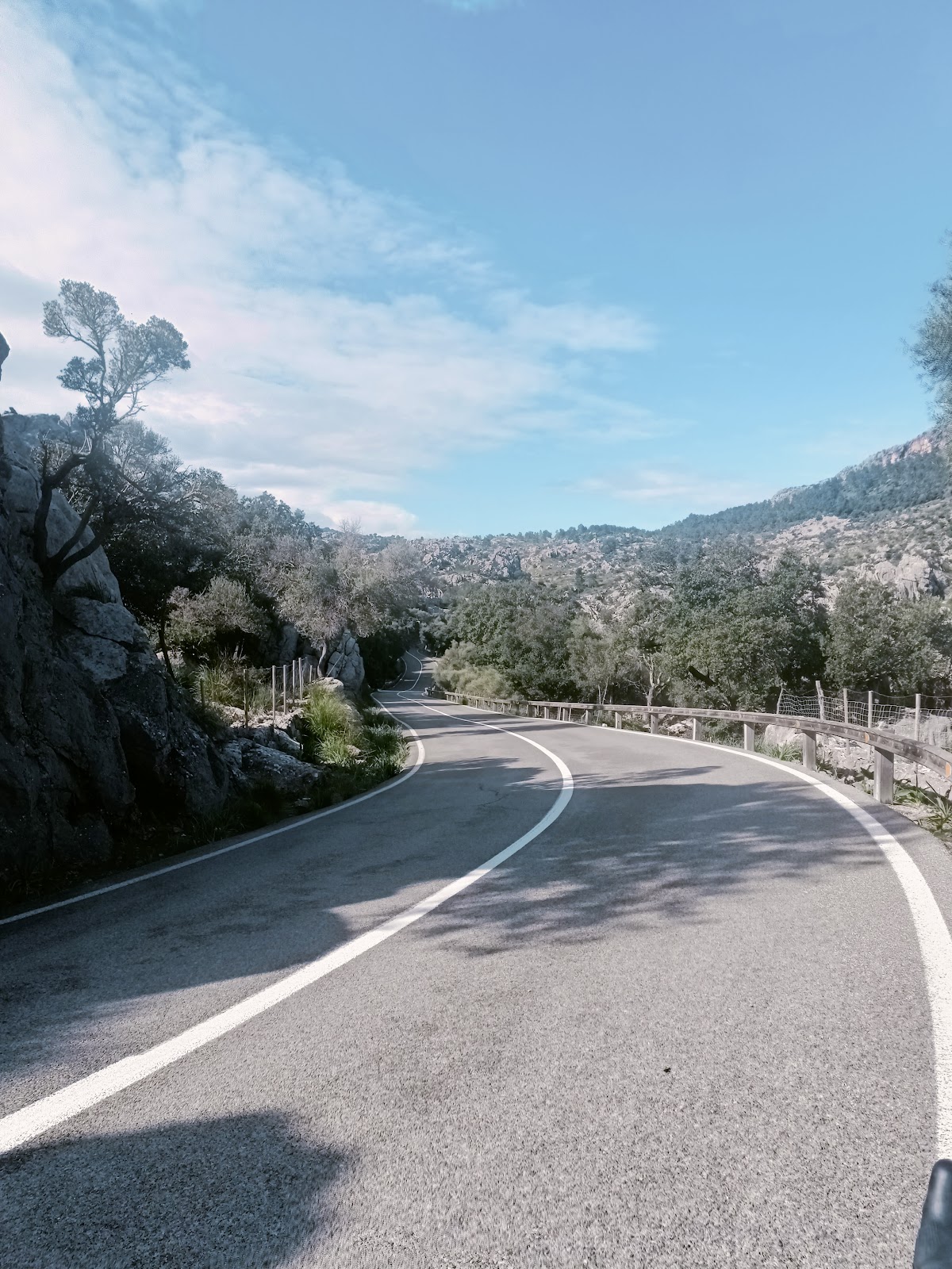 Coll de Femenia
