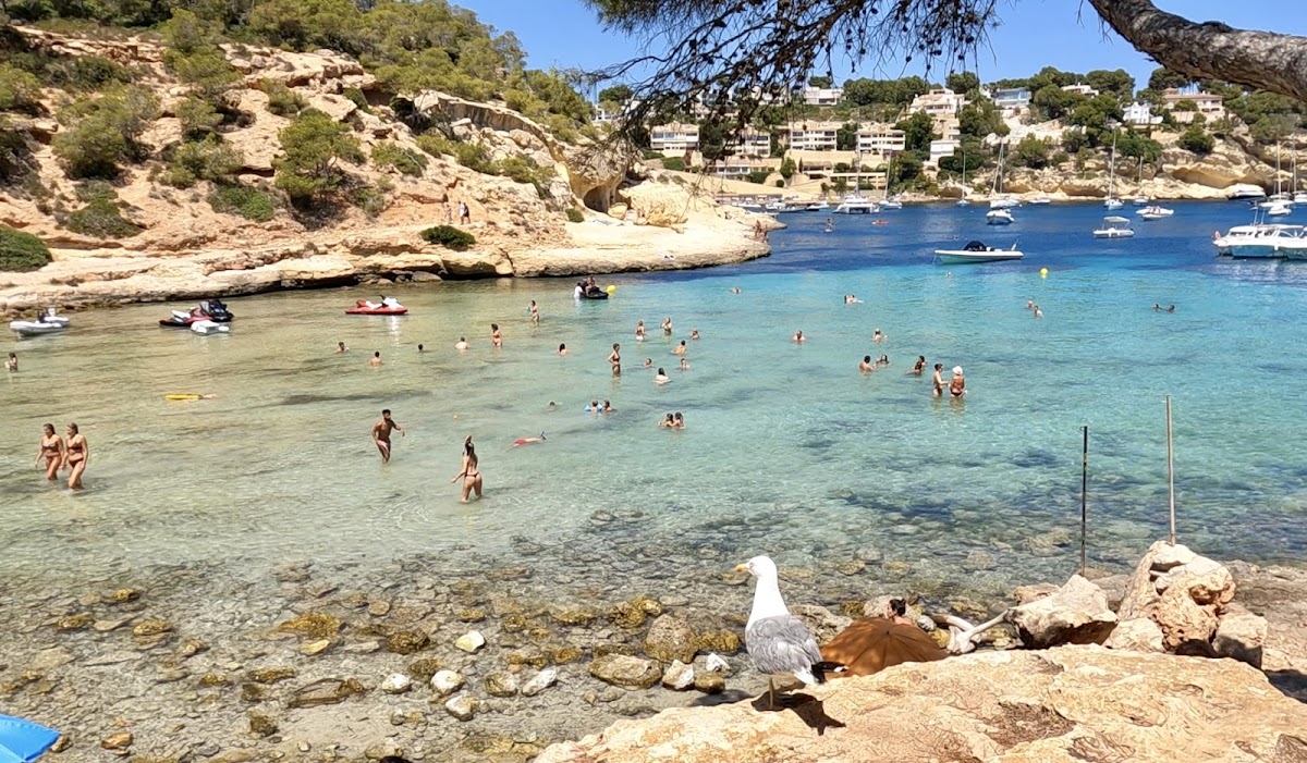 Portals Vells
