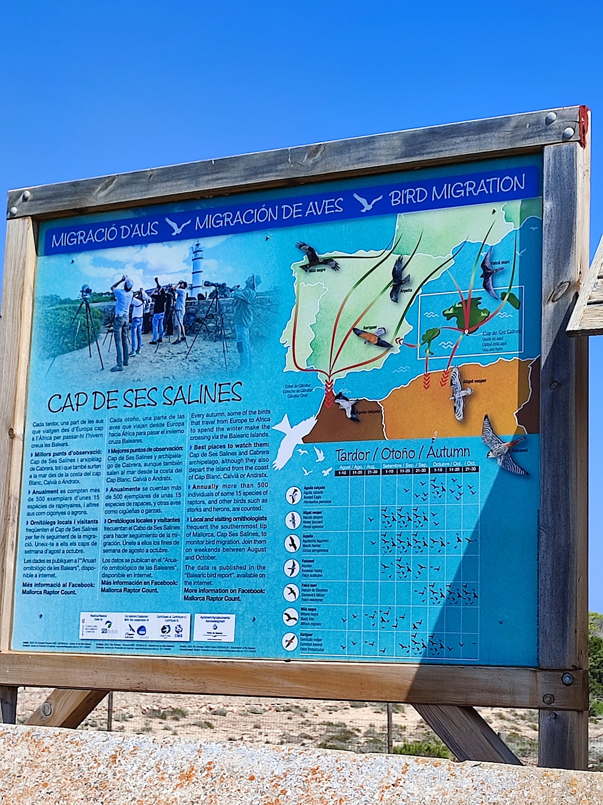 Cape Salinas