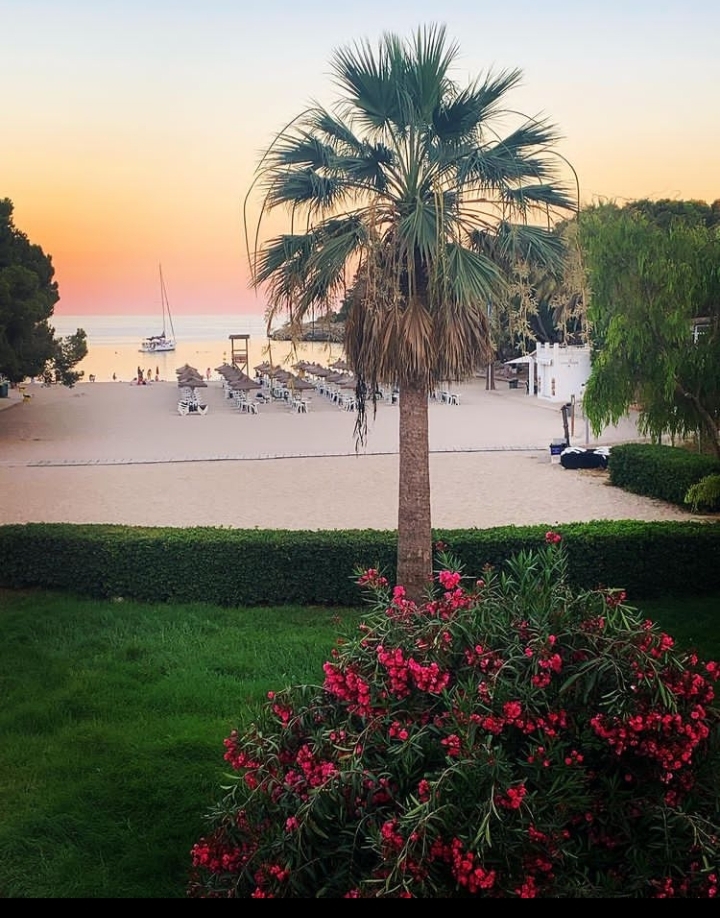Cala d'Or