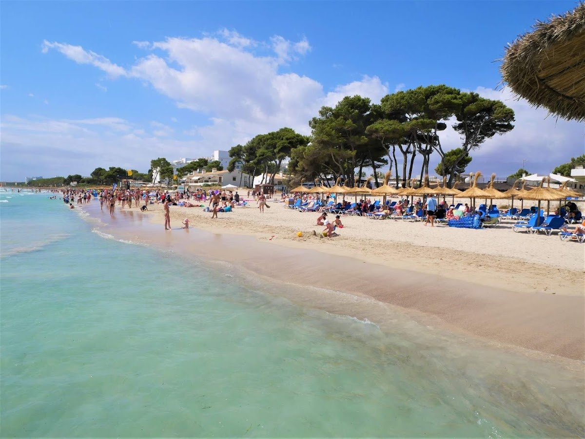 Alcúdia