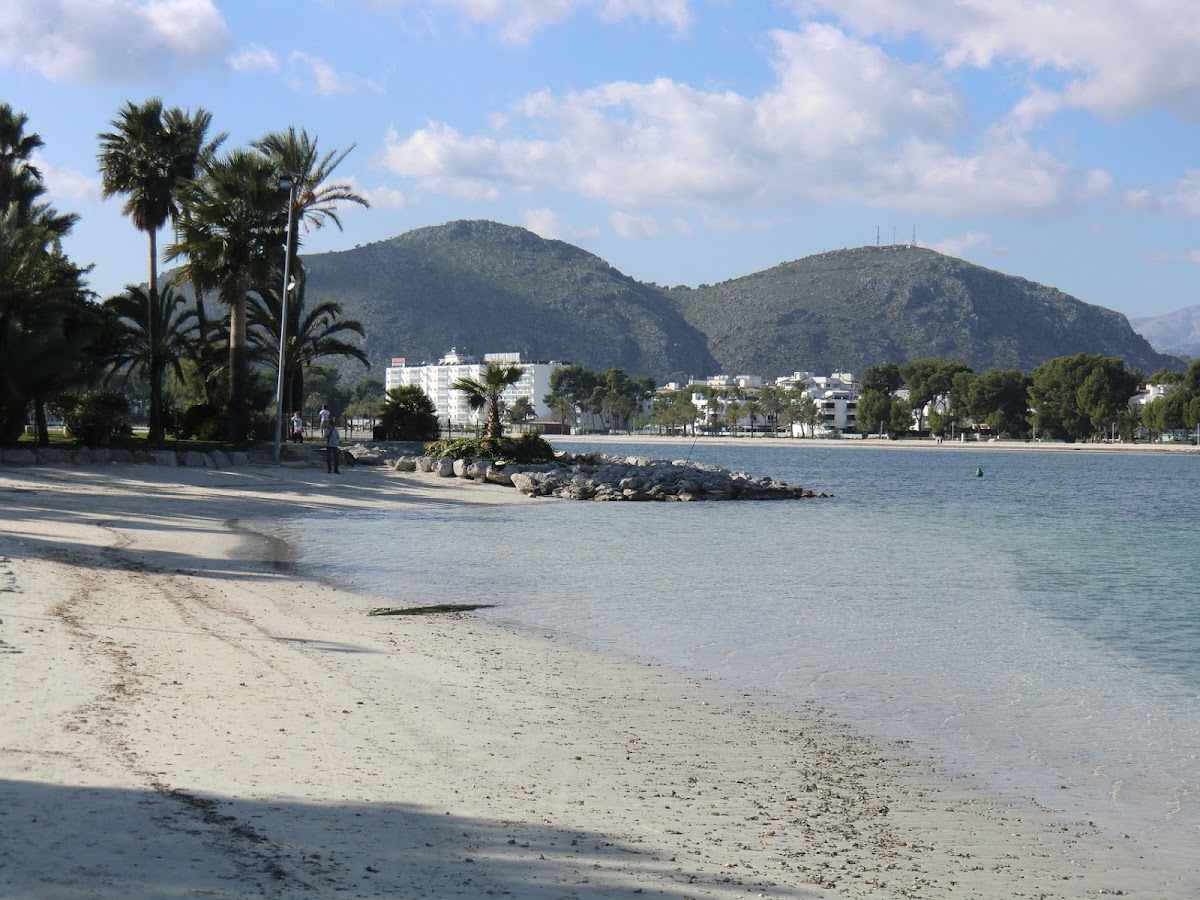 Alcúdia