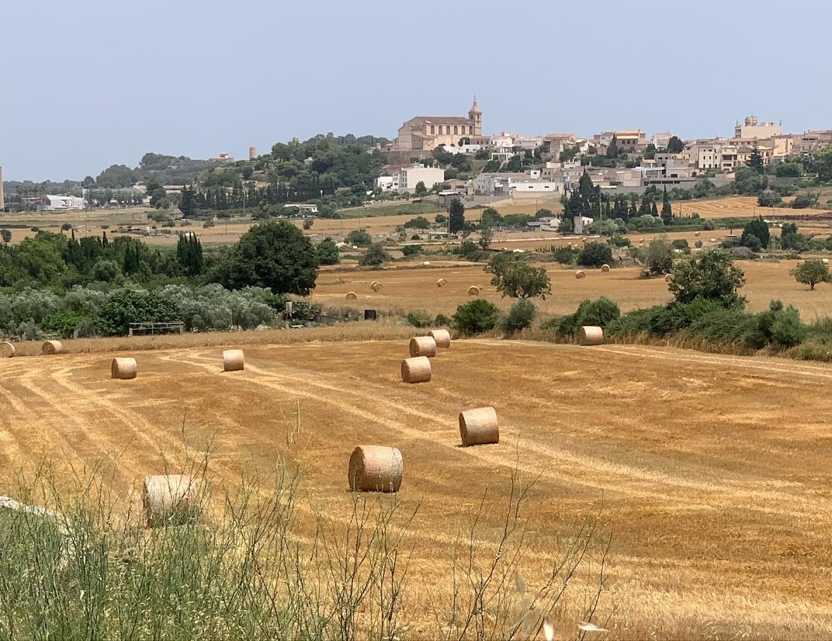 Santa Margalida