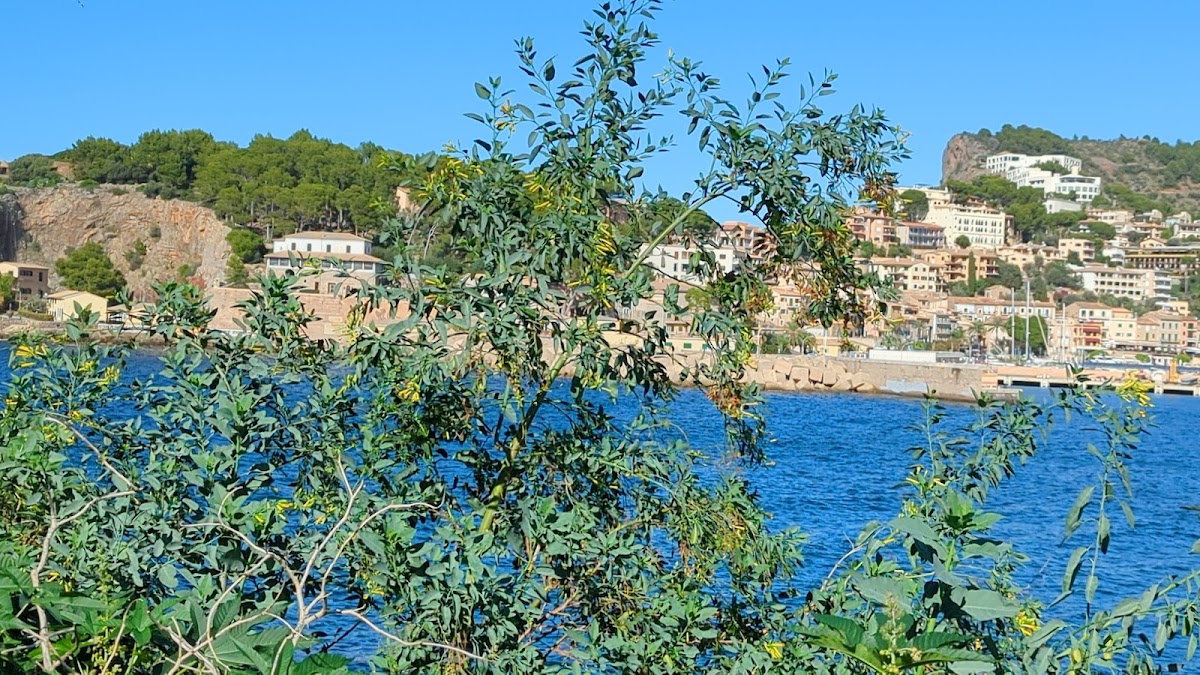Port de Sóller