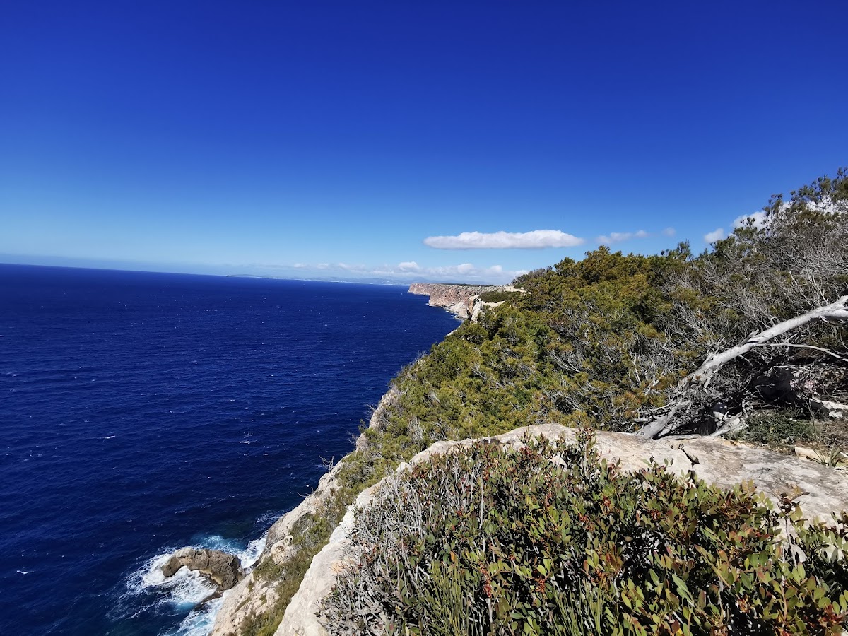 Far de Cap Blanc