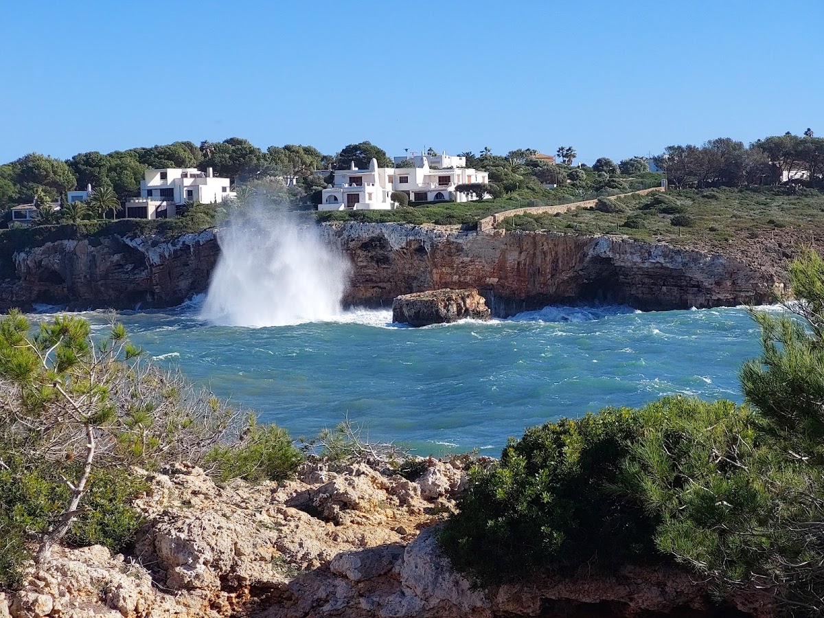 Punta de Ses Crestes